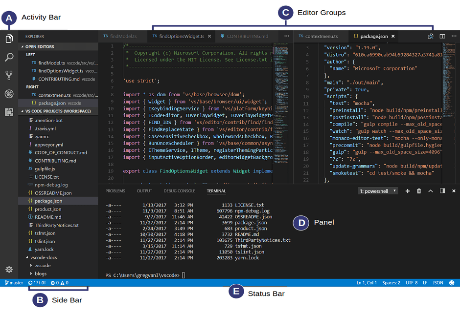 VSCode Interface